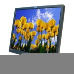 Lenovo L191p